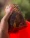 savon-noir-africain-queenafricamama-snv