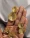 boucles-doreilles-et-bague-tyma-wax